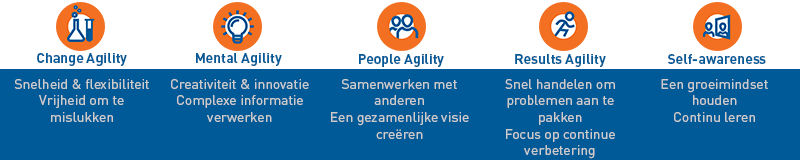 Banner dimensies voor Agile Leadership.png