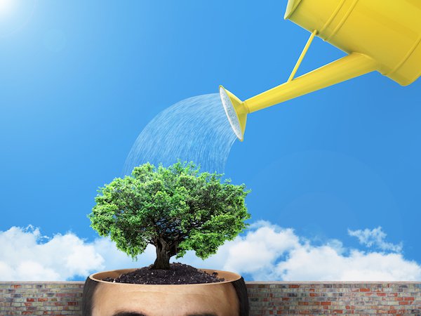 Fotolia_122019730_Subscription_Monthly_M_Resized.jpg